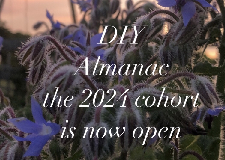 DIY almanac (2024)