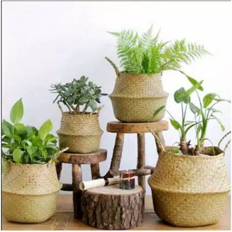 Purun Belly Cover Pot