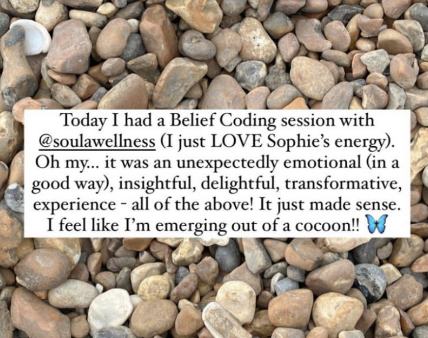 Belief Coding 