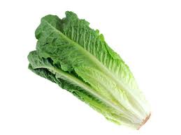 3) Cos lettuce 