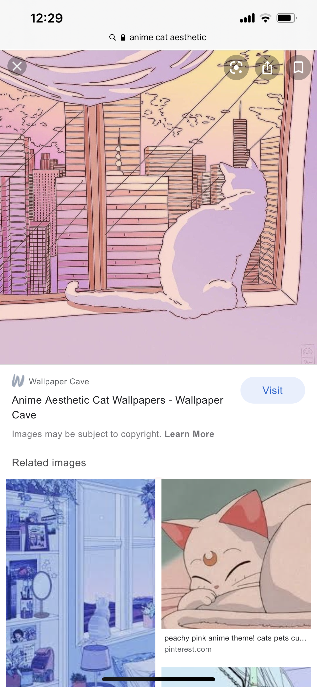 Aesthetic Cat Wallpapers - Wallpaper Cave