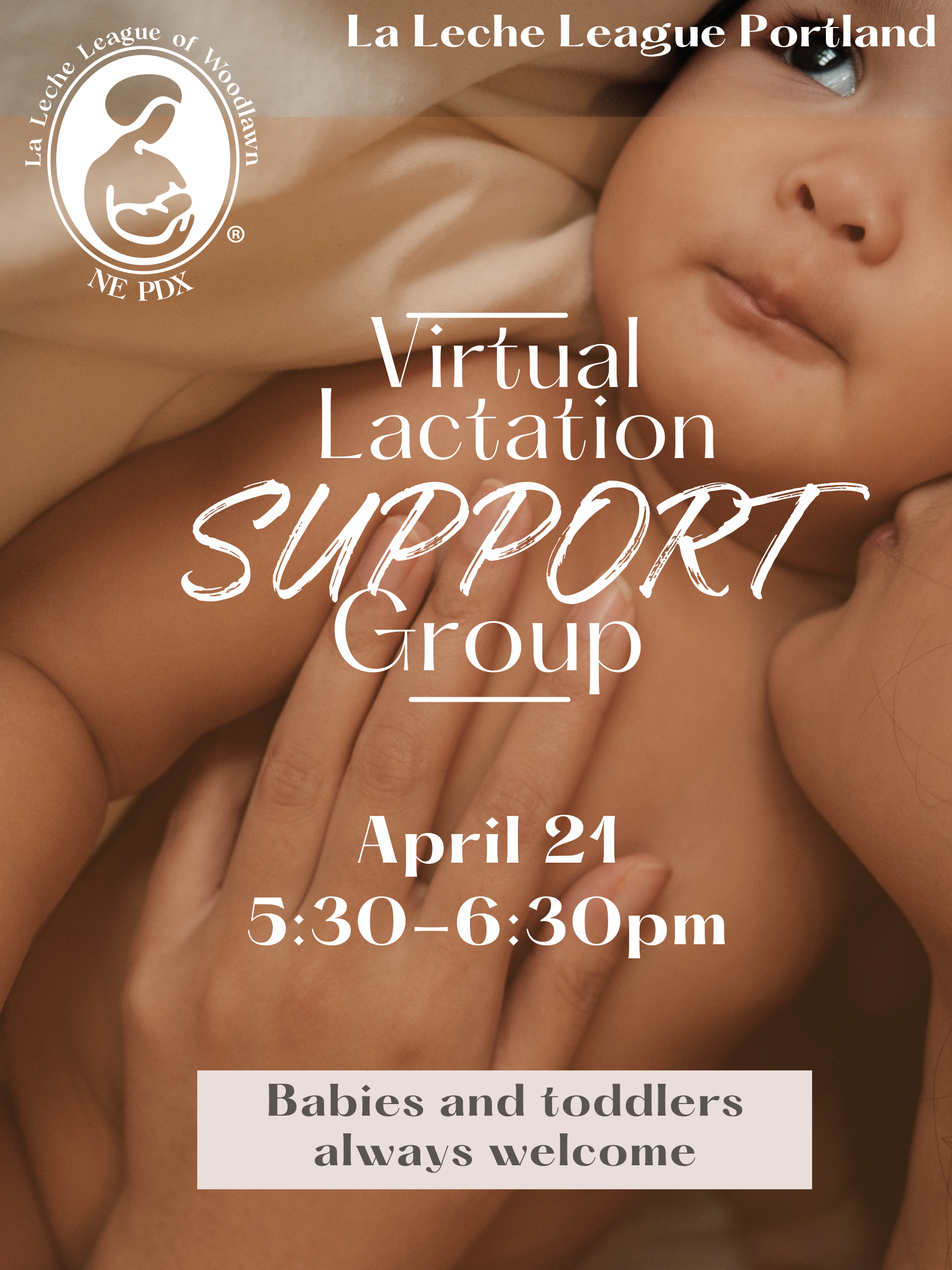 Virtual Lactation Support Group 