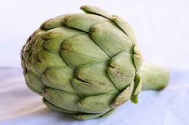 Globe artichokes belong to the thistle family and grow easily in temperate gardens. 