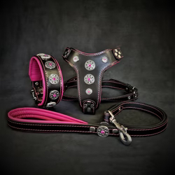 “Bestia Custom Dog Gear”  was founded by dog owners who were constantly struggling to find reliable, high quality dog collars for their pets.